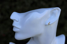 Load image into Gallery viewer, Snake Earring
